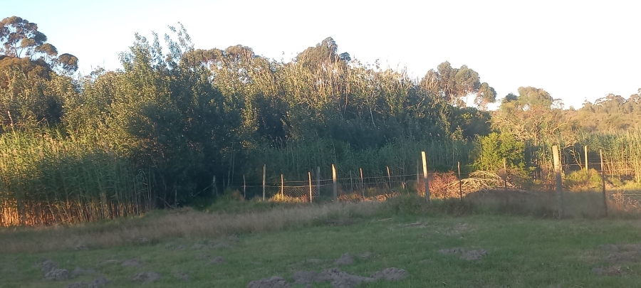 0 Bedroom Property for Sale in Albertinia Western Cape